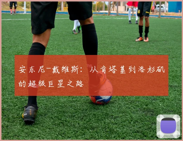 安东尼-戴维斯：从肯塔基到洛杉矶的超级巨星之路